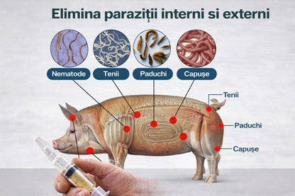 Zero Paraziți™